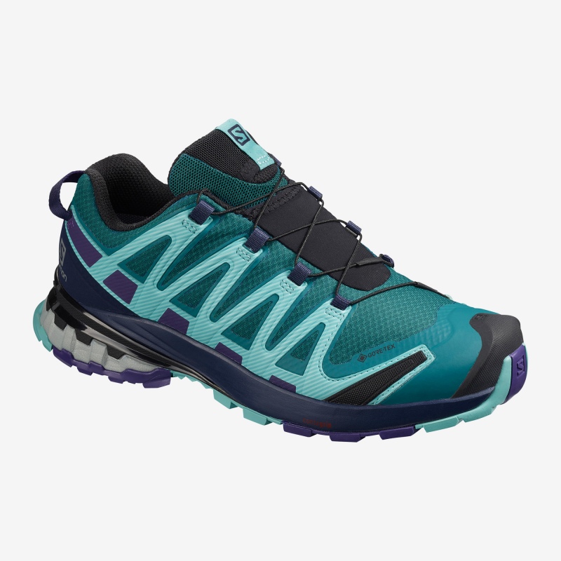 Hiking shoes Salomon XA PRO 3D V8 GTX W Shaded Spruce
