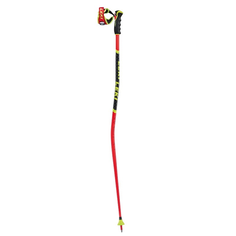Leki WCR GS 3D ski poles