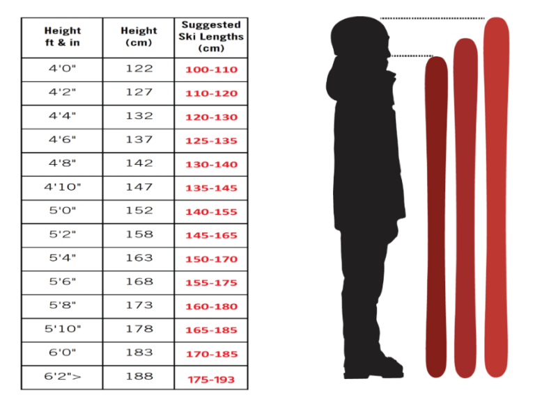 Proper Ski Length Chart